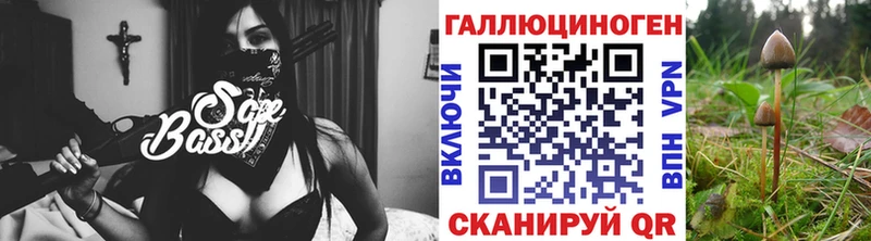 Псилоцибиновые грибы Cubensis  Ленинск 